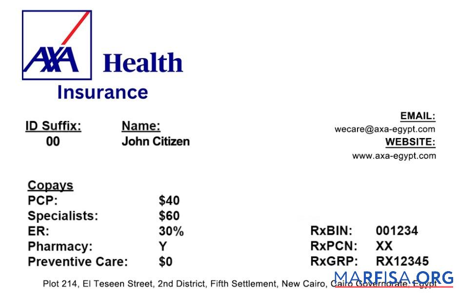 Blank Egypt health insurance card template